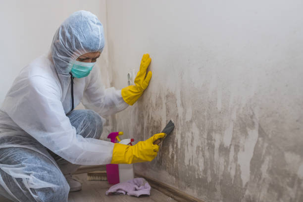 Best Crawl Space Mold Removal  in Indialantic, FL