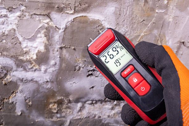Attic Mold Removal in Indialantic, FL