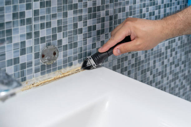 Best Residential Mold Removal  in Indialantic, FL