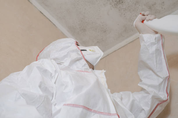 Certified Mold Removal in Indialantic, FL
